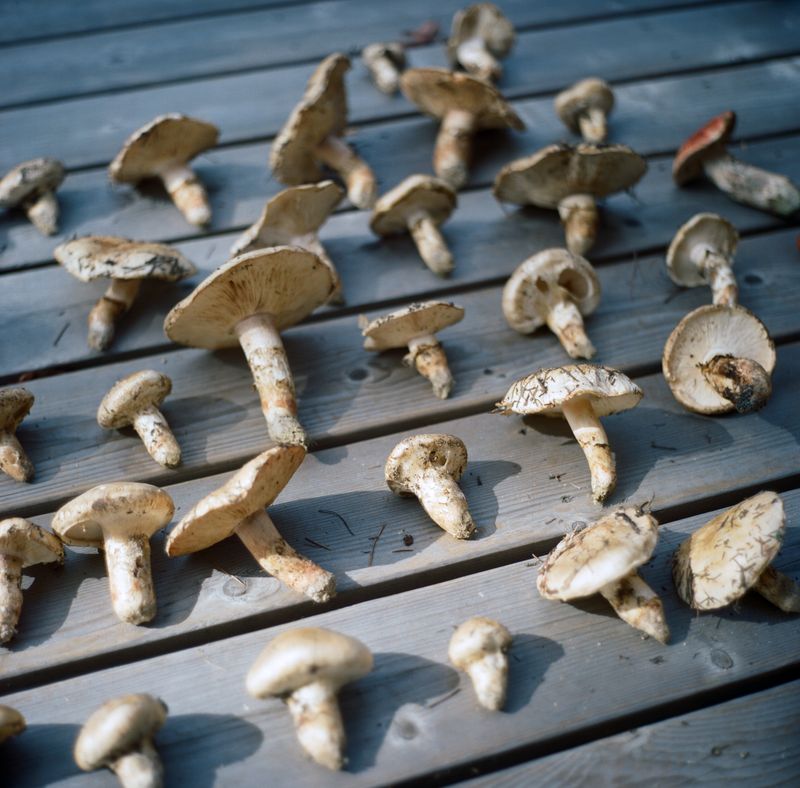 © Tiffany Kim - Image from the Song-i photography project