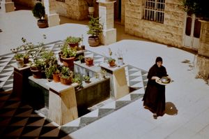 Shamsi by Zein Nakhleh