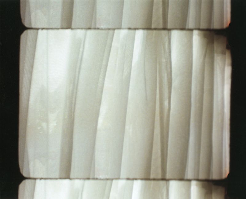 © Hermione Russell - Image from the Immortal Impressions photography project