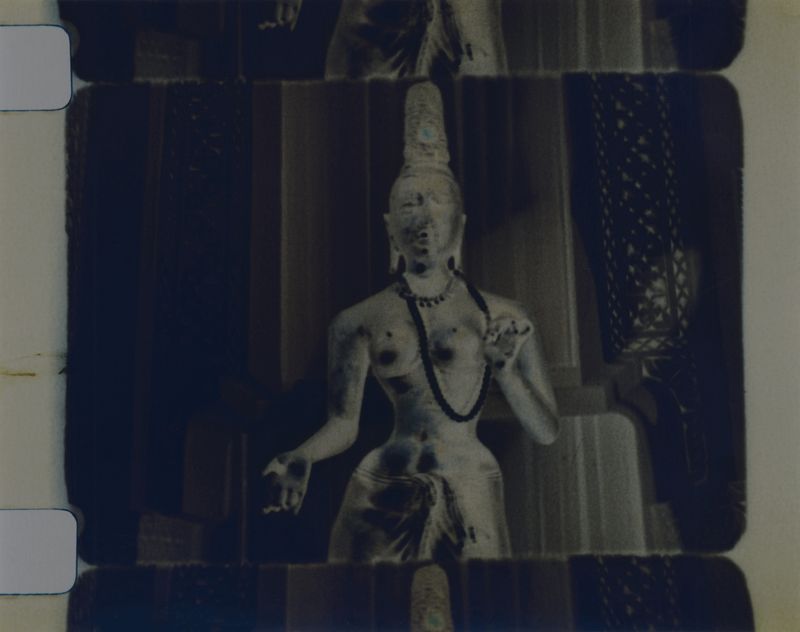 © Hermione Russell - Image from the Immortal Impressions photography project