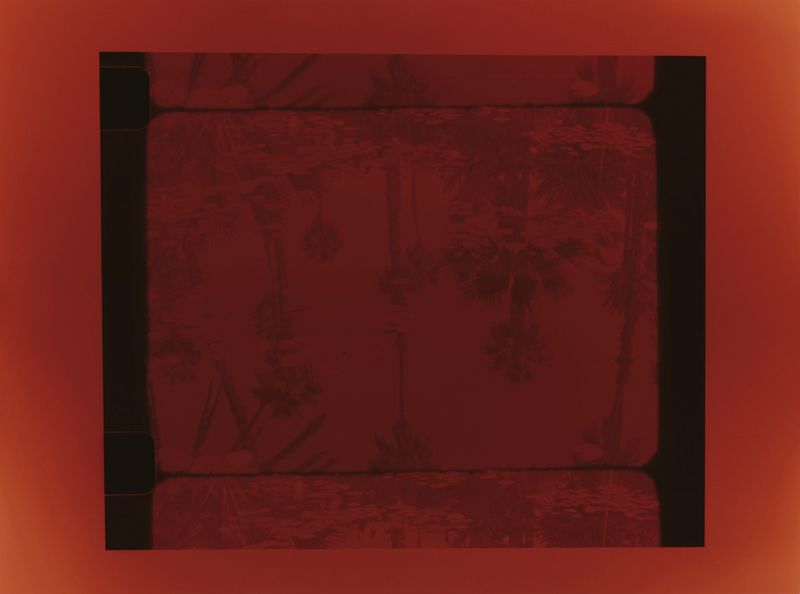 © Hermione Russell - Image from the Immortal Impressions photography project