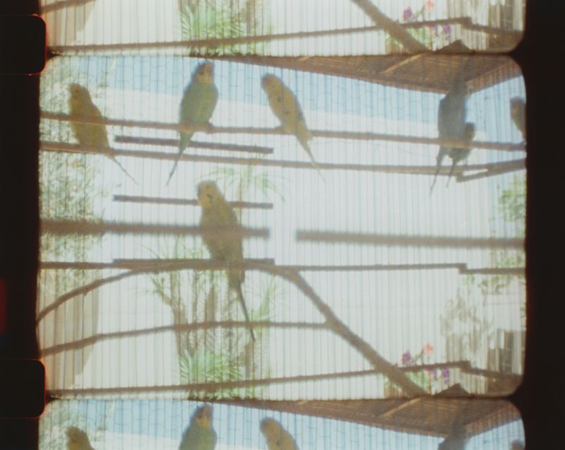 © Hermione Russell - Image from the Immortal Impressions photography project