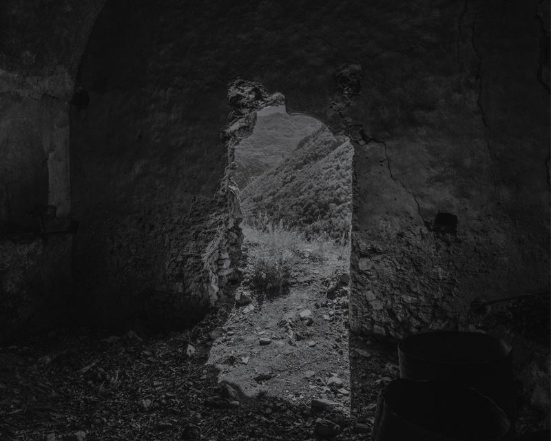 © Boris Snauwaert - Image from the To Chase A Butterfly photography project
