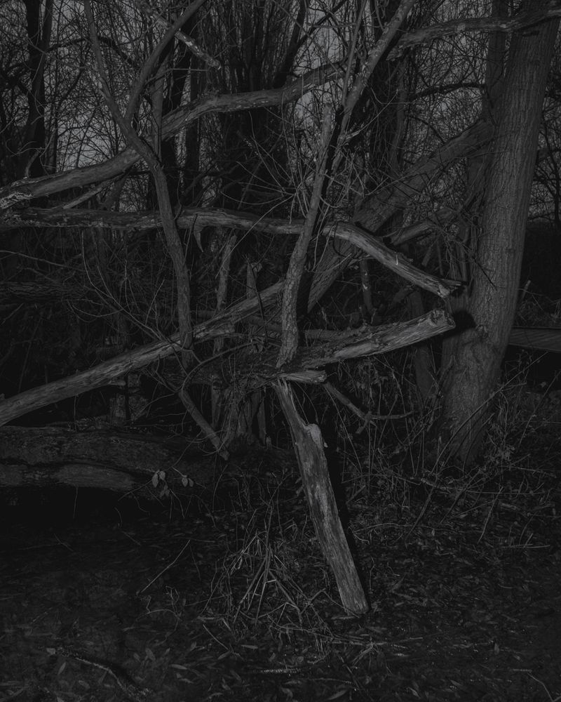© Boris Snauwaert - Image from the To Chase A Butterfly photography project