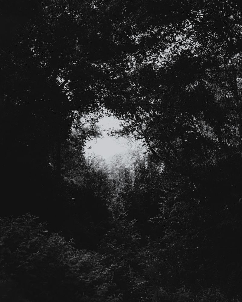 © Boris Snauwaert - Image from the To Chase A Butterfly photography project