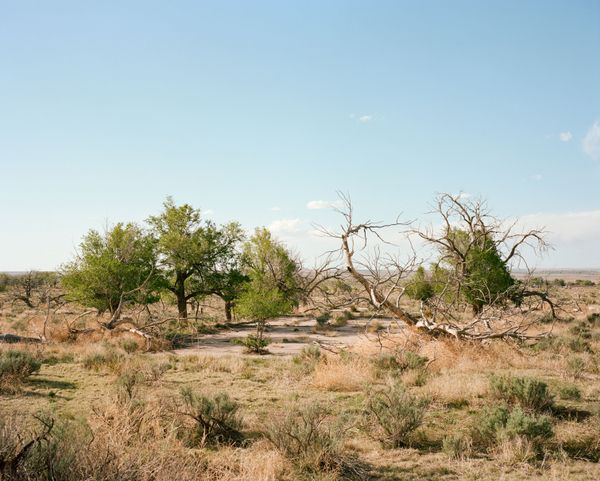 © Bailey Quinlan - Image from the American Values photography project