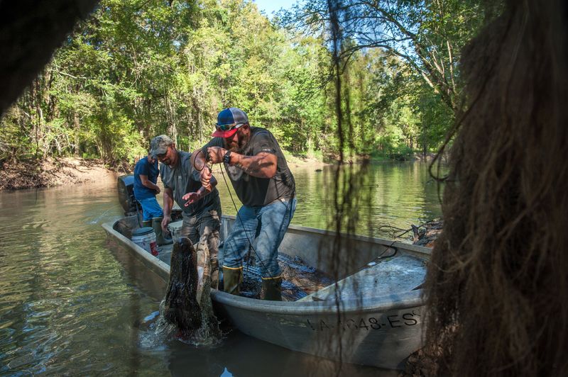 © Rory Doyle - Image from the Modifying on the Mississippi photography project