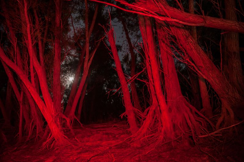 © Rory Doyle - Image from the Modifying on the Mississippi photography project