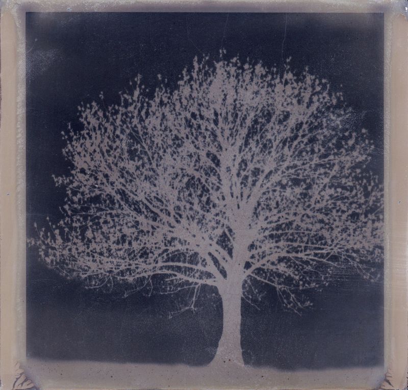 © Marjolaine VUARNESSON - Image from the Apparitions photography project