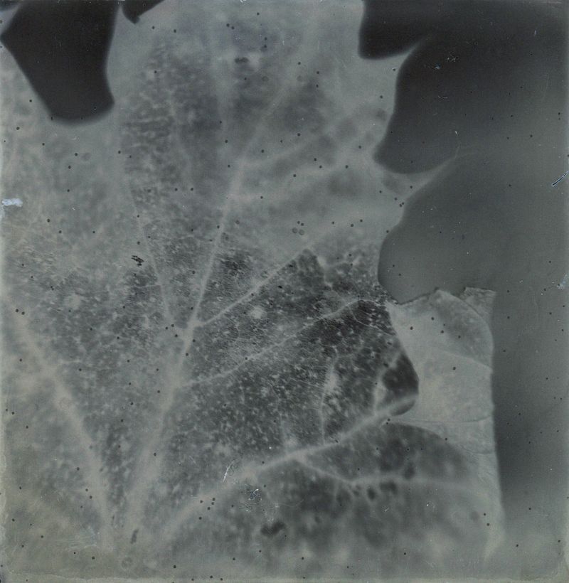 © Marjolaine VUARNESSON - Image from the Apparitions photography project