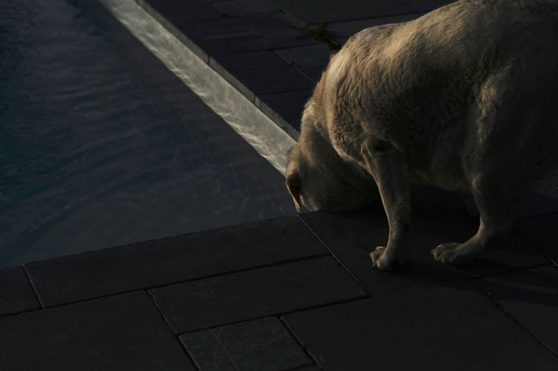 © Marjolaine VUARNESSON - Image from the Apparitions photography project
