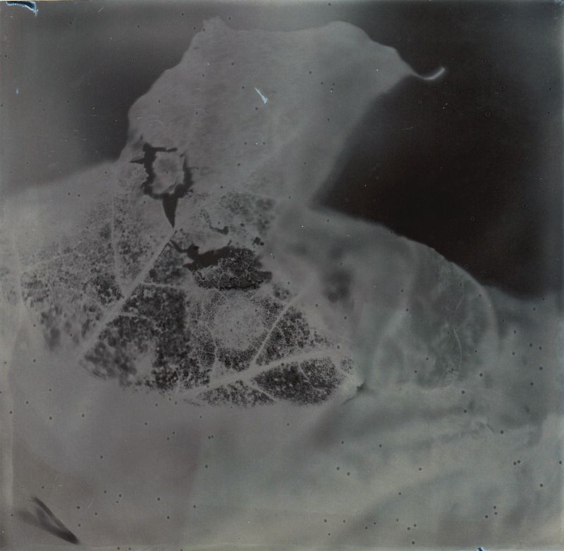 © Marjolaine VUARNESSON - Image from the Apparitions photography project