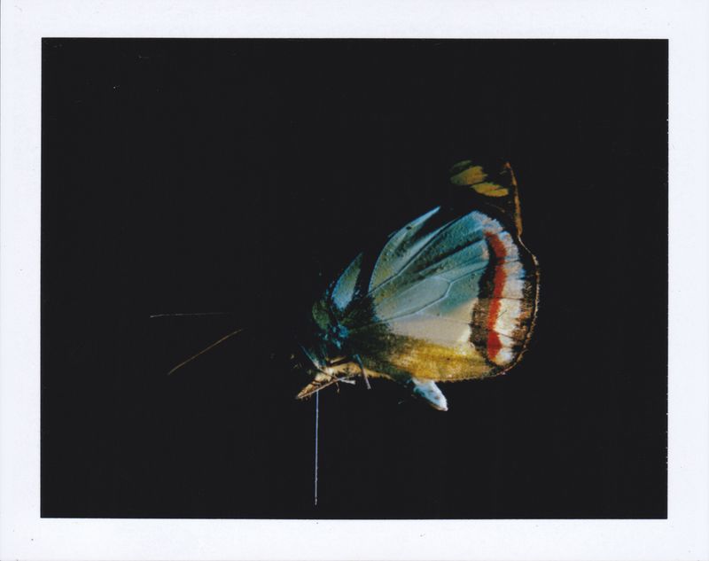 © Marjolaine VUARNESSON - Image from the Apparitions photography project