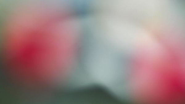 © Manuela Braunmüller - Image from the 200 Million Years photography project