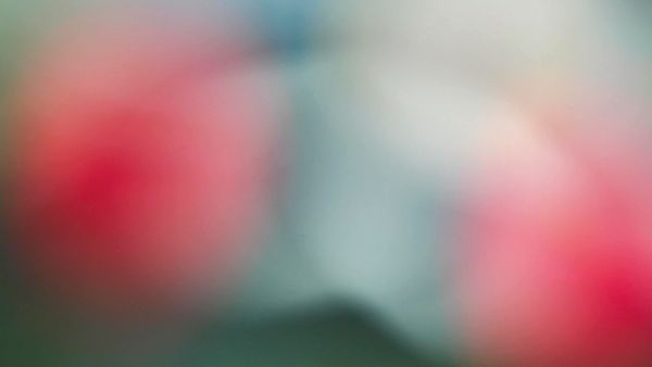 © Manuela Braunmüller - Image from the 200 Million Years photography project