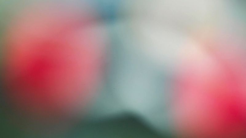 © Manuela Braunmüller - Image from the 200 Million Years photography project