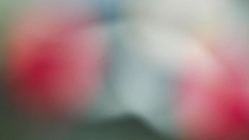 © Manuela Braunmüller - Image from the 200 Million Years photography project