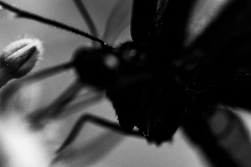 © Manuela Braunmüller - Image from the 200 Million Years photography project