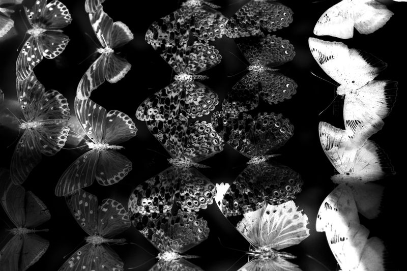 © Manuela Braunmüller - Image from the 200 Million Years photography project