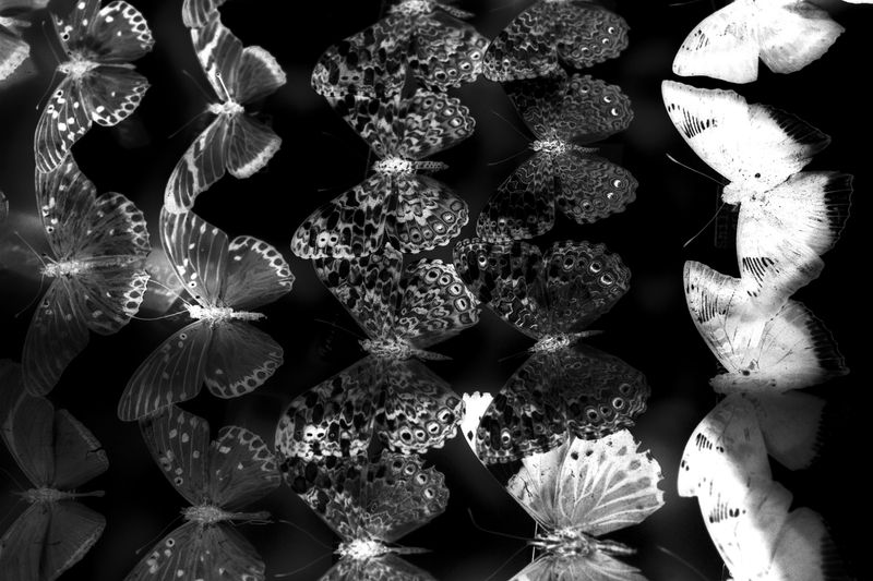 © Manuela Braunmüller - Image from the 200 Million Years photography project