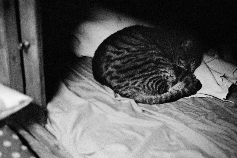 Photobook Review: The Assignment