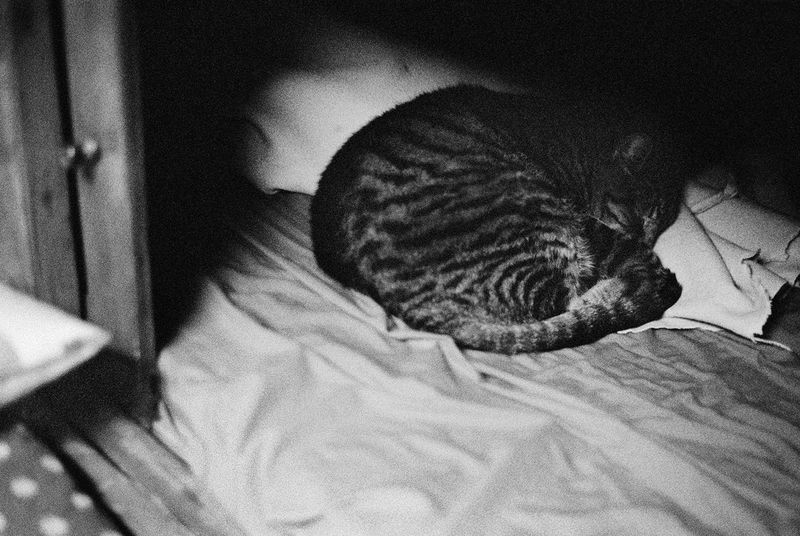 Photobook Review: The Assignment