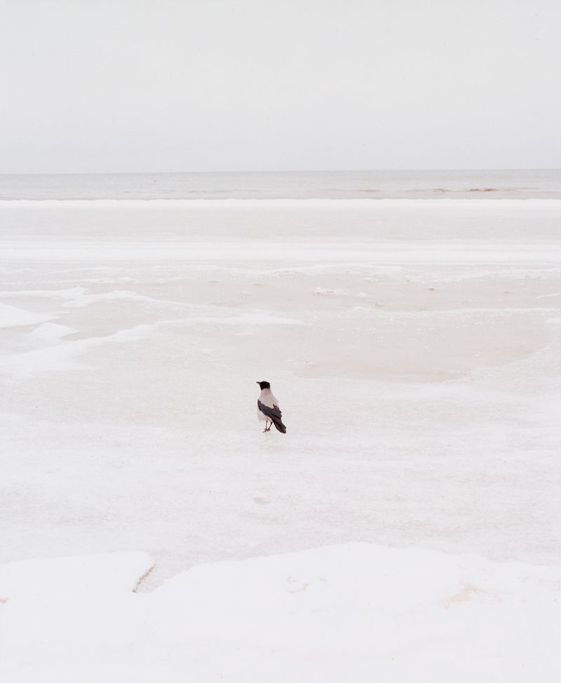 © Oskar Kardemark - Image from the Tales of Minimal Significance photography project