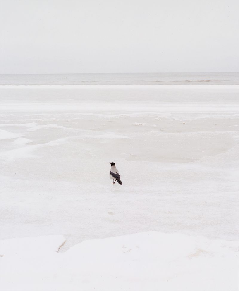 © Oskar Kardemark - Image from the Tales of Minimal Significance photography project
