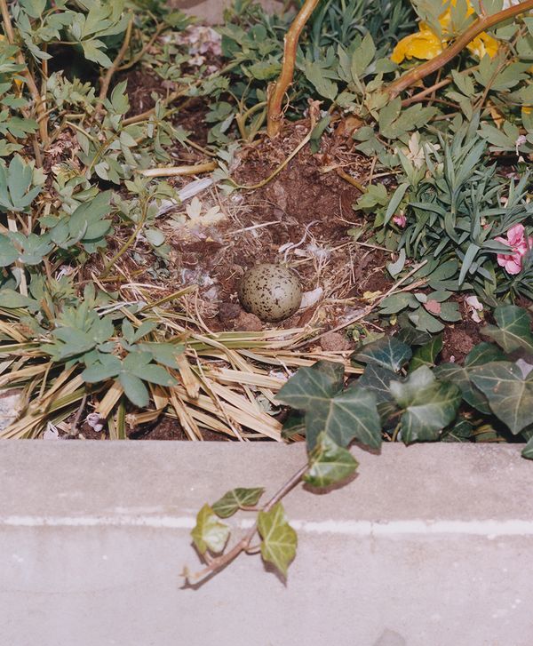 © Oskar Kardemark - Image from the Tales of Minimal Significance photography project