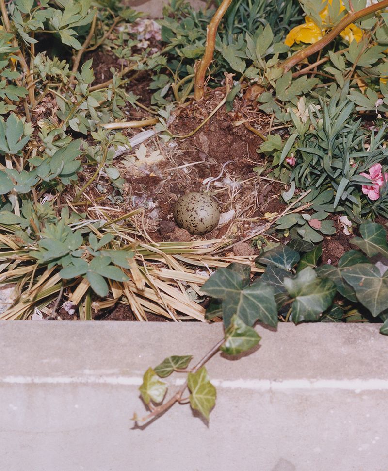 © Oskar Kardemark - Image from the Tales of Minimal Significance photography project