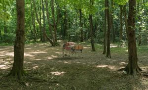 Where have you been today?