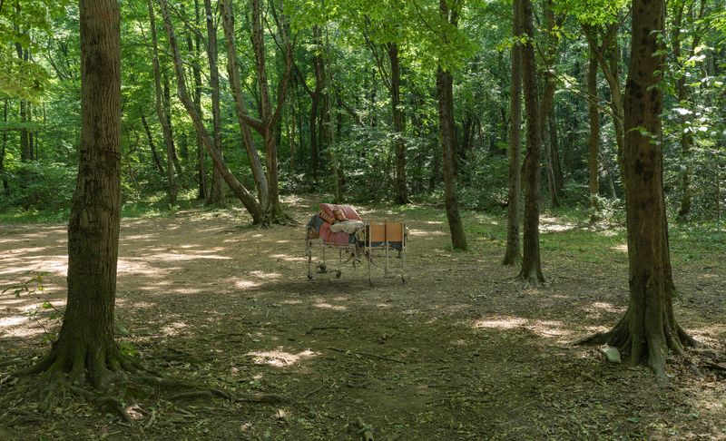 © Pietro Fanti - (Where have you been today?) In Switzerland with you, don't you remember?_2023