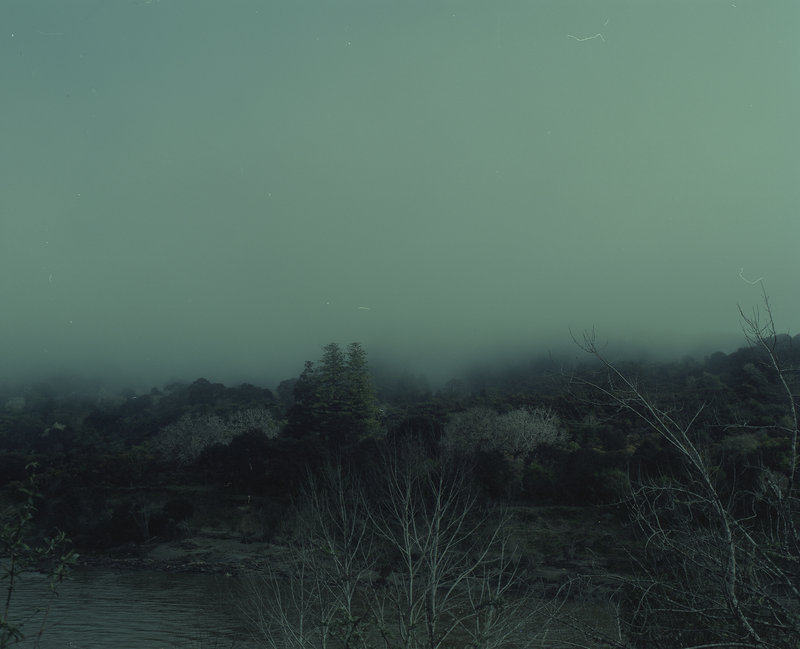 Freya Brooke Verona Copeland