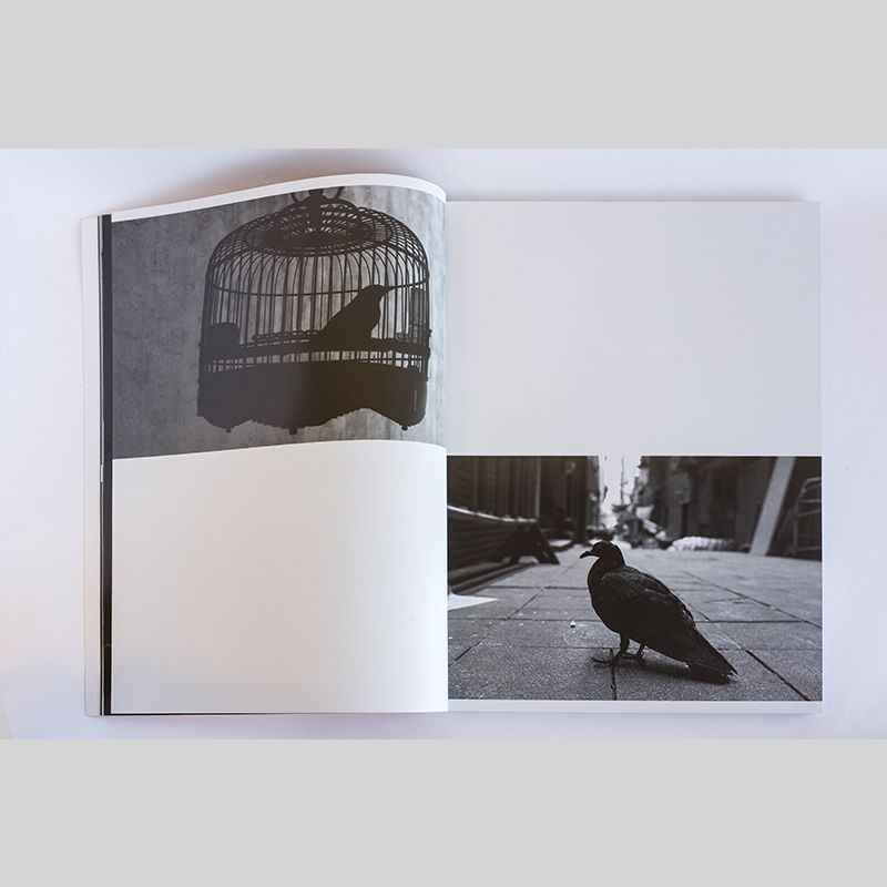 Image from a project on PhMuseum