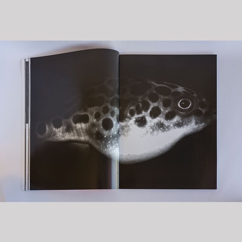 Image from a project on PhMuseum