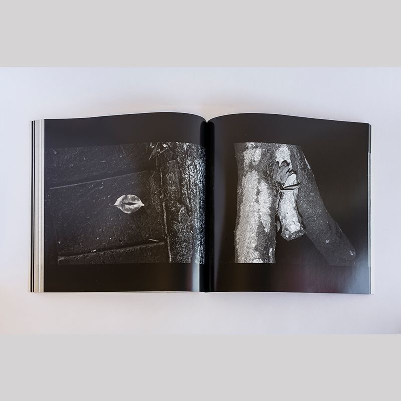 Image from a project on PhMuseum