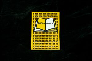 Hello!Do you remember me? Hang Tam