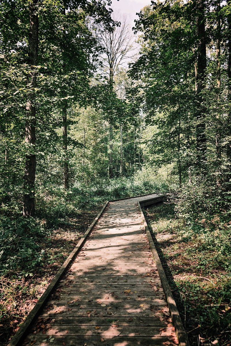 © Flavia Piola - Image from the Costanza Lorenzetti photography project