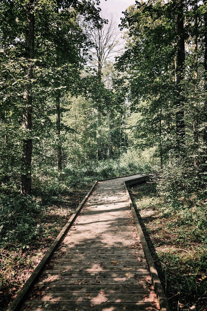 © Flavia Piola - Image from the Costanza Lorenzetti photography project