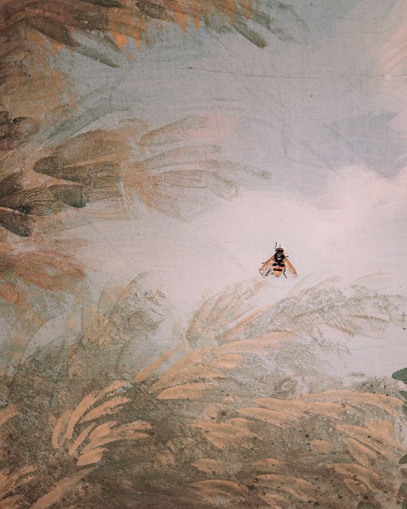 © Flavia Piola - Image from the Costanza Lorenzetti photography project