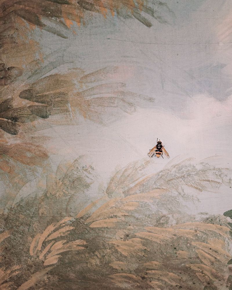 © Flavia Piola - Image from the Costanza Lorenzetti photography project