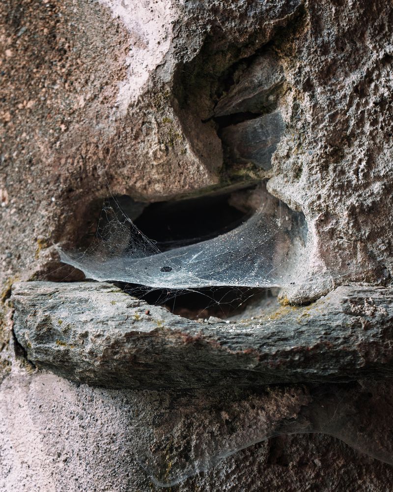 © Flavia Piola - Image from the Costanza Lorenzetti photography project