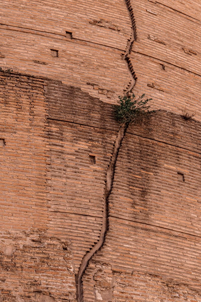 © Flavia Piola - Rome, where she studied with Adolfo Venturi, perhaps the most important moment in her career.