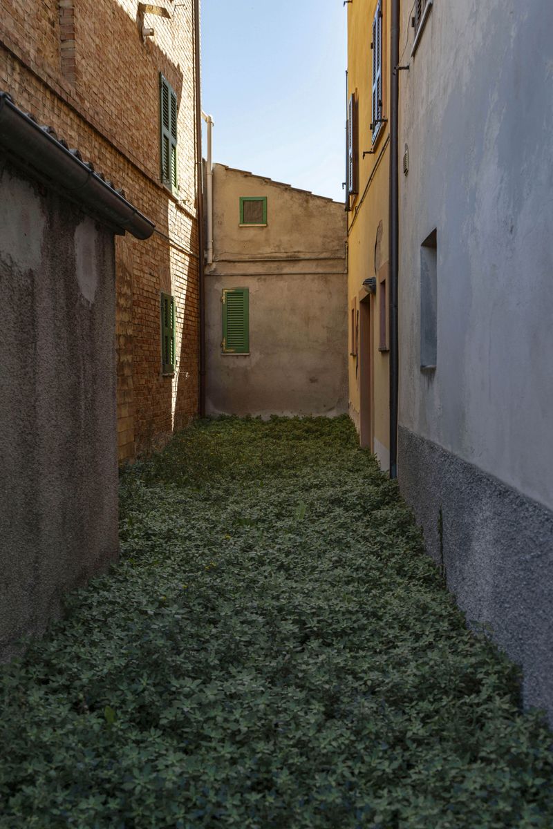 © Flavia Piola - Image from the Costanza photography project