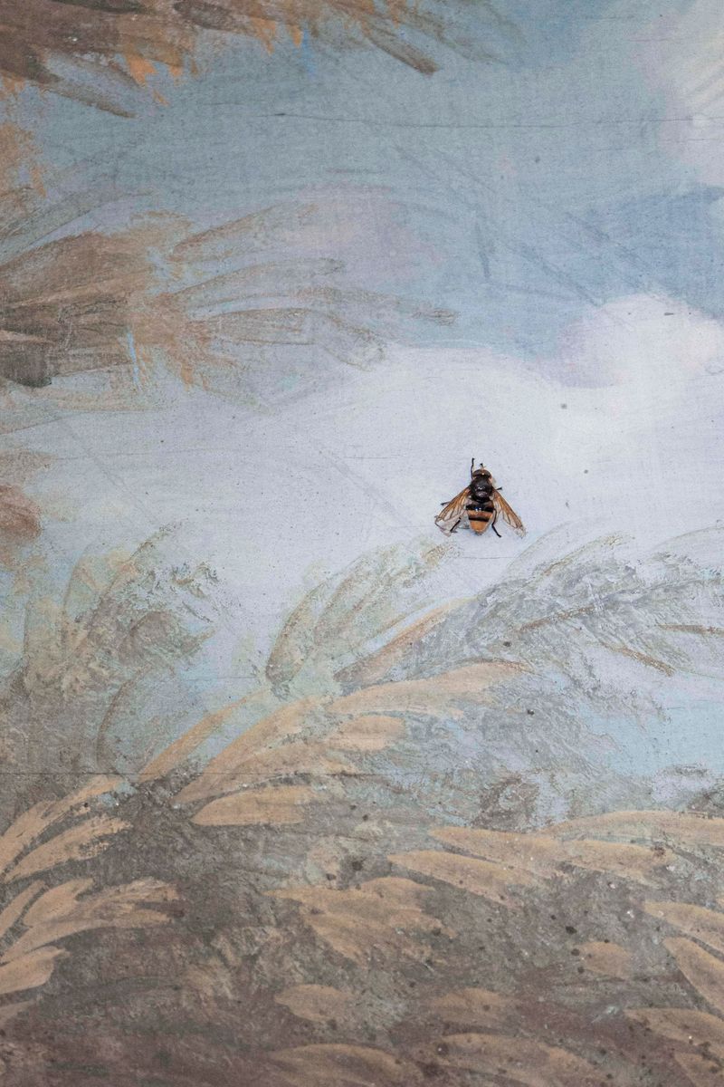 © Flavia Piola - Image from the Costanza photography project