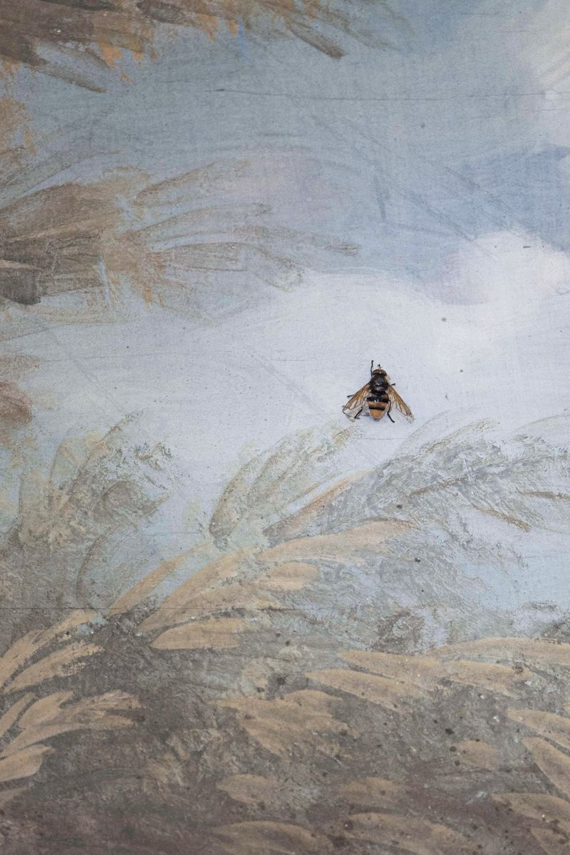 © Flavia Piola - Image from the Costanza photography project