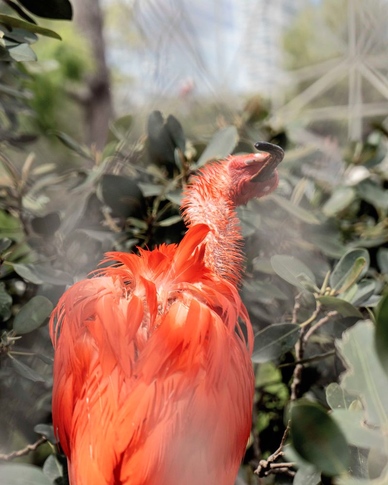 © Flavia Piola - Image from the Costanza photography project