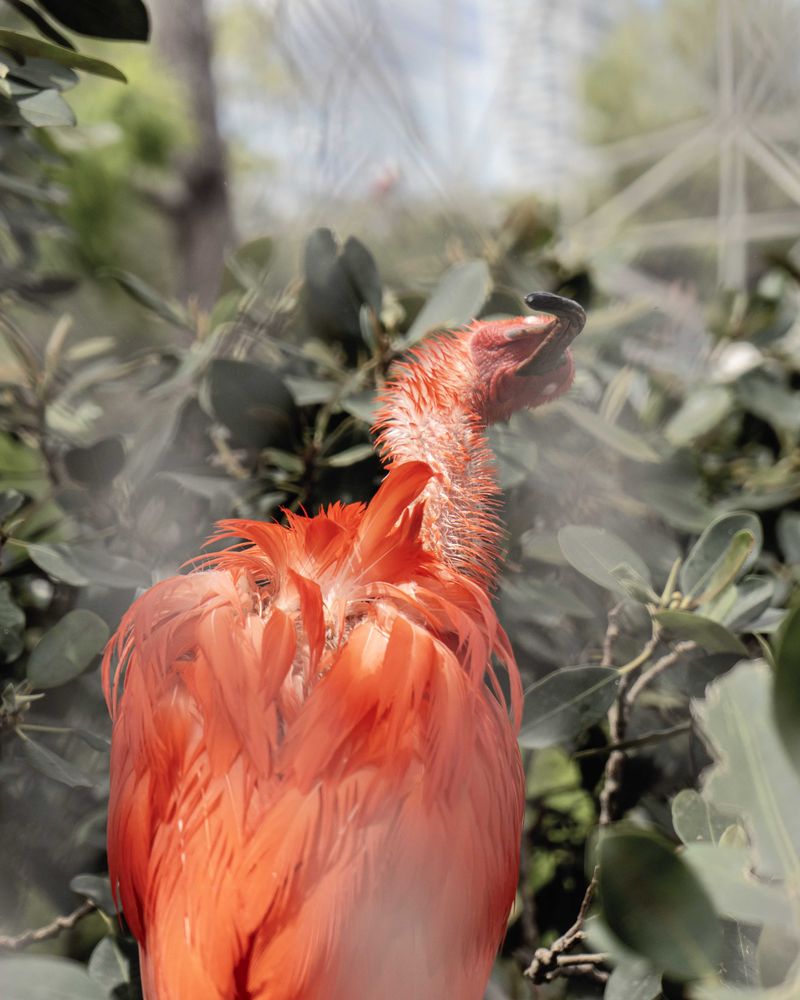 © Flavia Piola - Image from the Costanza photography project