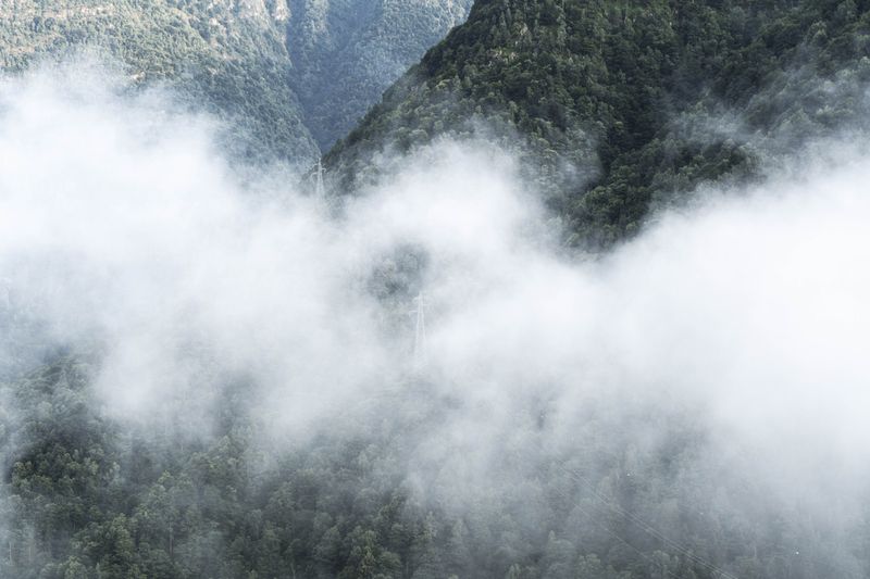 © Flavia Piola - Image from the Costanza photography project