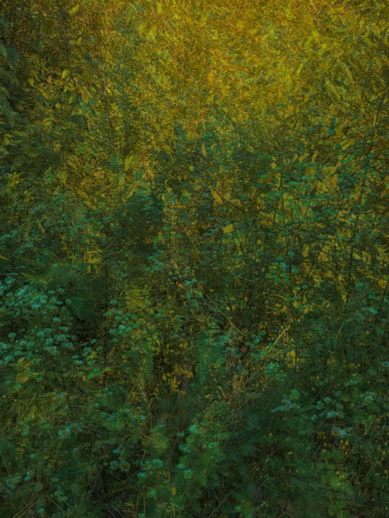 © Andrea Hajtmánková - Image from the Miraculous Nature photography project